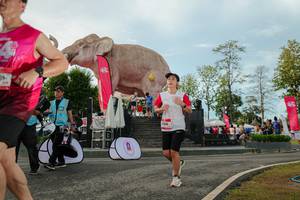 BIB: 
                            <button type="button" onclick="openModal(26529100)" class="btn btn-primary btn-sm float-right btn-popup" data-toggle="modal" data-target=".modal-high-quality">
                        <i class="fas fa-shopping-cart"></i> Add to Cart
                    </button>
                                            <button type="button" onclick="isThisMe(26529100, true)" class="btn btn-success btn-sm float-right btn-popup btn-isme hidden" data-toggle="tooltip" data-placement="bottom" title="นี่คือรูปของคุณใช่ไหม คลิกที่นี่เพื่อเอาเข้าอัลบั้ม">
                        <i class="fas fa-plus"></i> Add to album
                    </button>
                    <button type="button" onclick="isThisMe(26529100, false)" class="btn btn-warning btn-sm float-right btn-popup btn-isnotme hidden">
                        <i class="fas fa-ban"></i> Remove from album
                    </button>